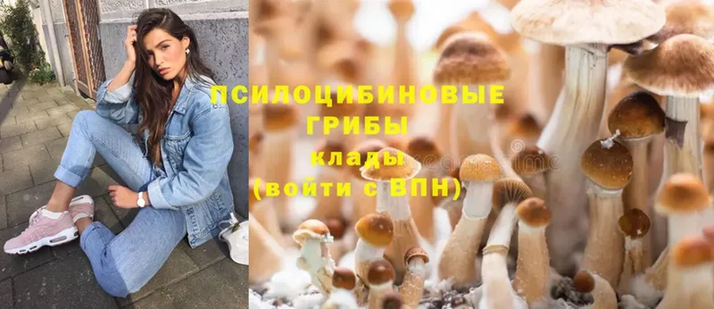 мега онион  Белый  Псилоцибиновые грибы MAGIC MUSHROOMS 